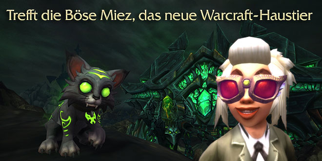 Trefft die Böse Miez, das neue Warcraft-Haustier